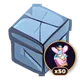 BSB Box (50)