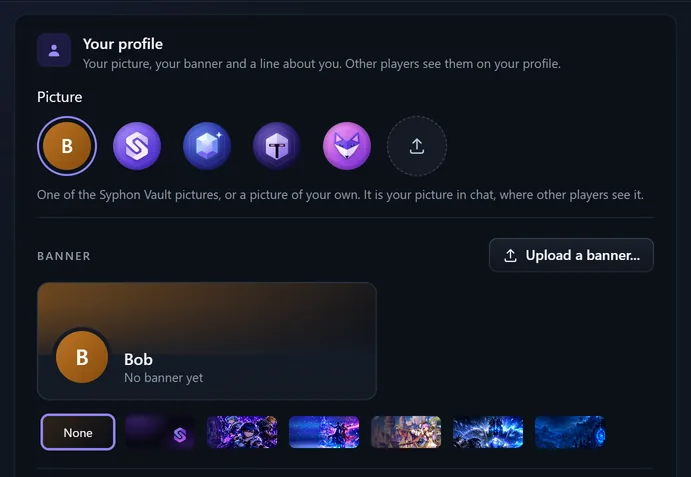Votre profil dans « Chat settings » sur le navigateur : les images, le bouton d’importation et les bannières